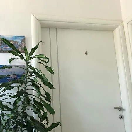 Xhelili